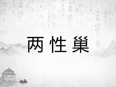 两性巢