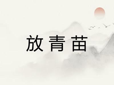 放青苗
