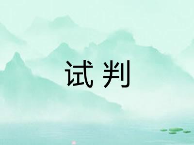 试判