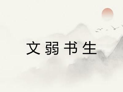 文弱书生