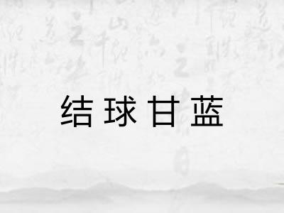 结球甘蓝