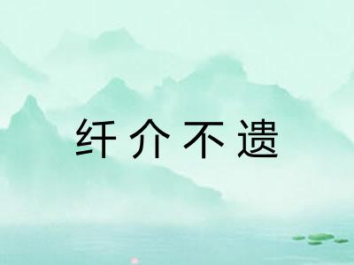 纤介不遗