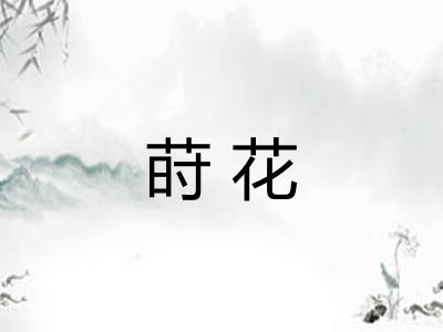 莳花