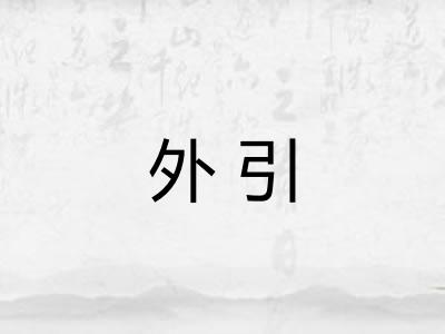 外引