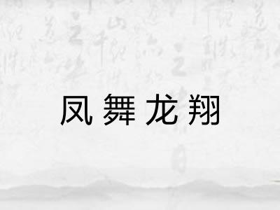 凤舞龙翔