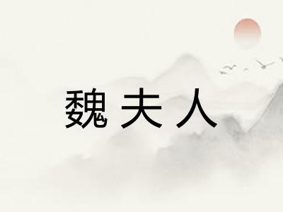 魏夫人