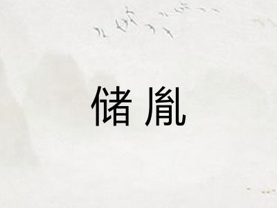 储胤