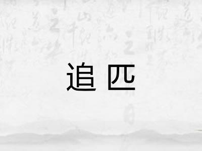 追匹