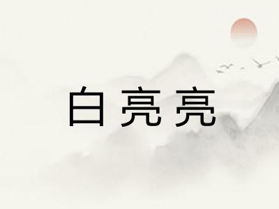 白亮亮