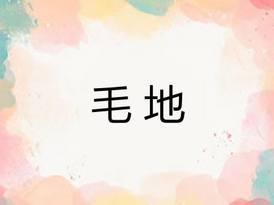 毛地