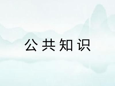 公共知识