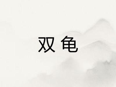 双龟
