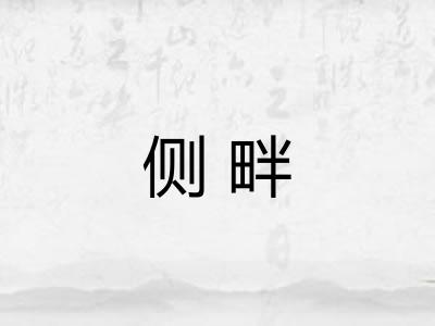 侧畔