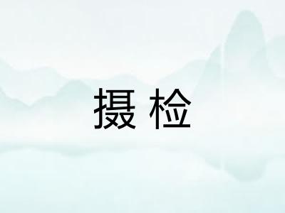 摄检
