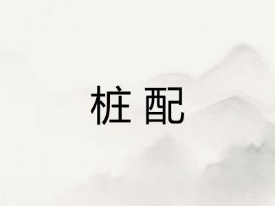 桩配