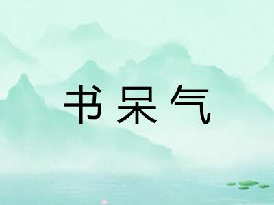 书呆气