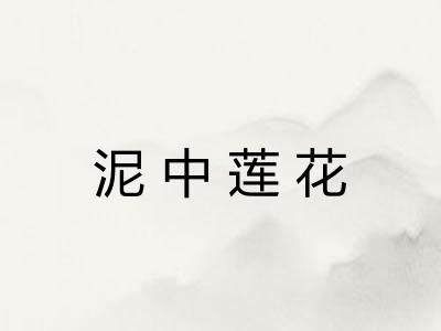 泥中莲花
