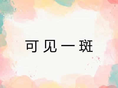 可见一斑