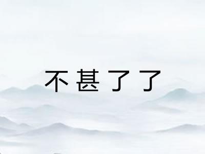 不甚了了
