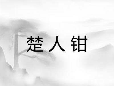 楚人钳
