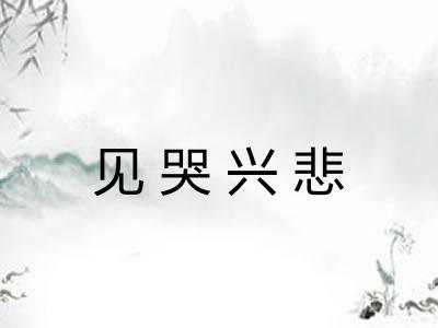 见哭兴悲