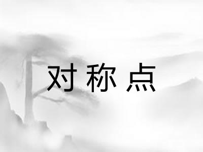 对称点