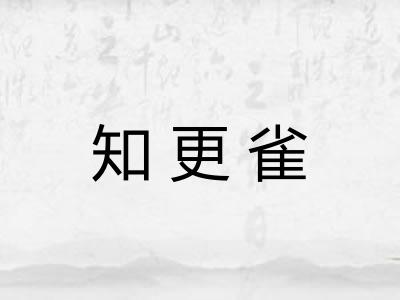 知更雀