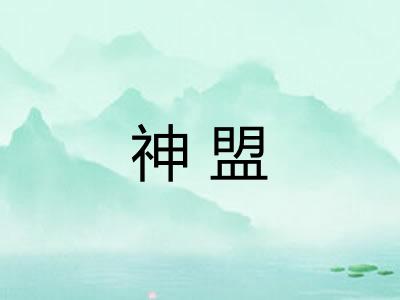 神盟