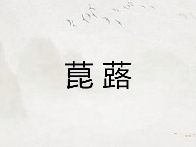 菎蕗