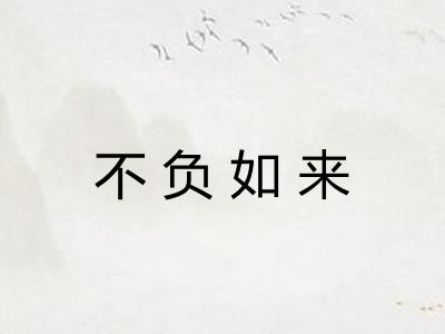 不负如来