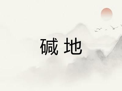 碱地