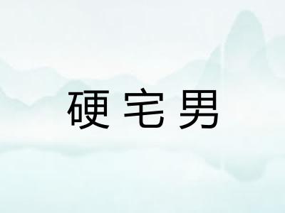 硬宅男