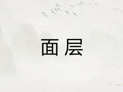 面层