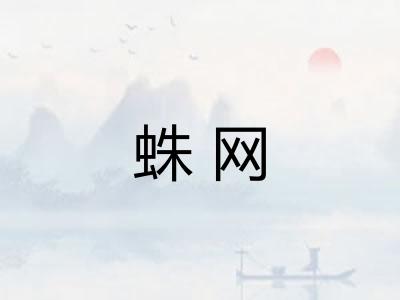 蛛网
