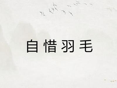 自惜羽毛