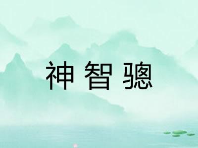 神智骢