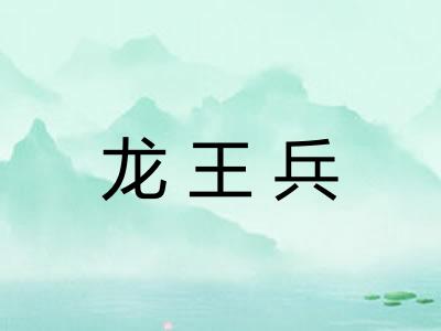 龙王兵