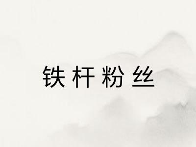 铁杆粉丝