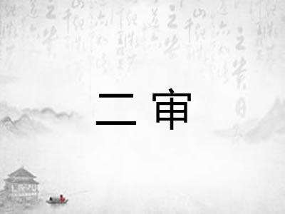 二审