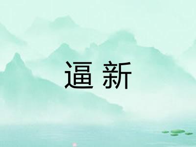 逼新