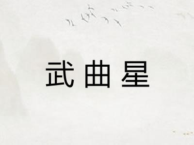 武曲星