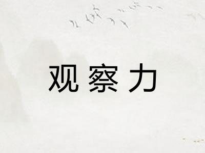 观察力