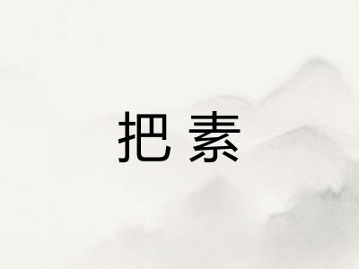 把素