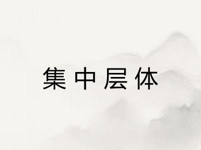 集中层体