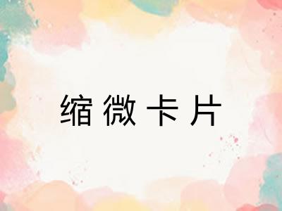 缩微卡片