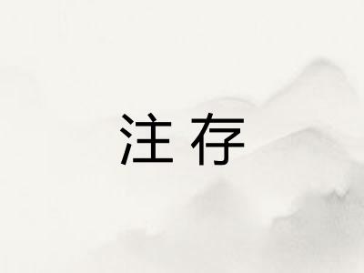 注存