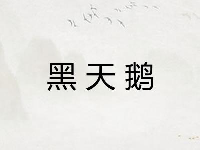 黑天鹅