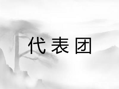 代表团