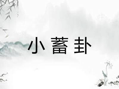 小蓄卦
