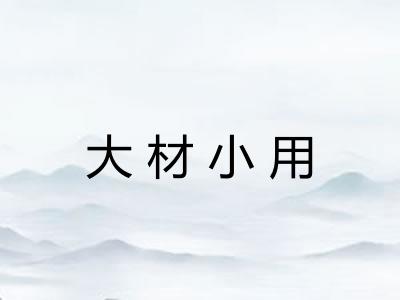 大材小用